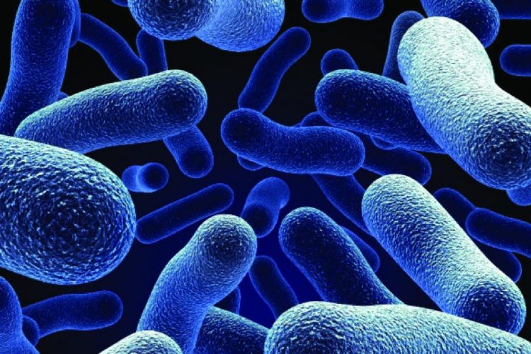 High levels of antibiotic resistance found worldwide, new data shows